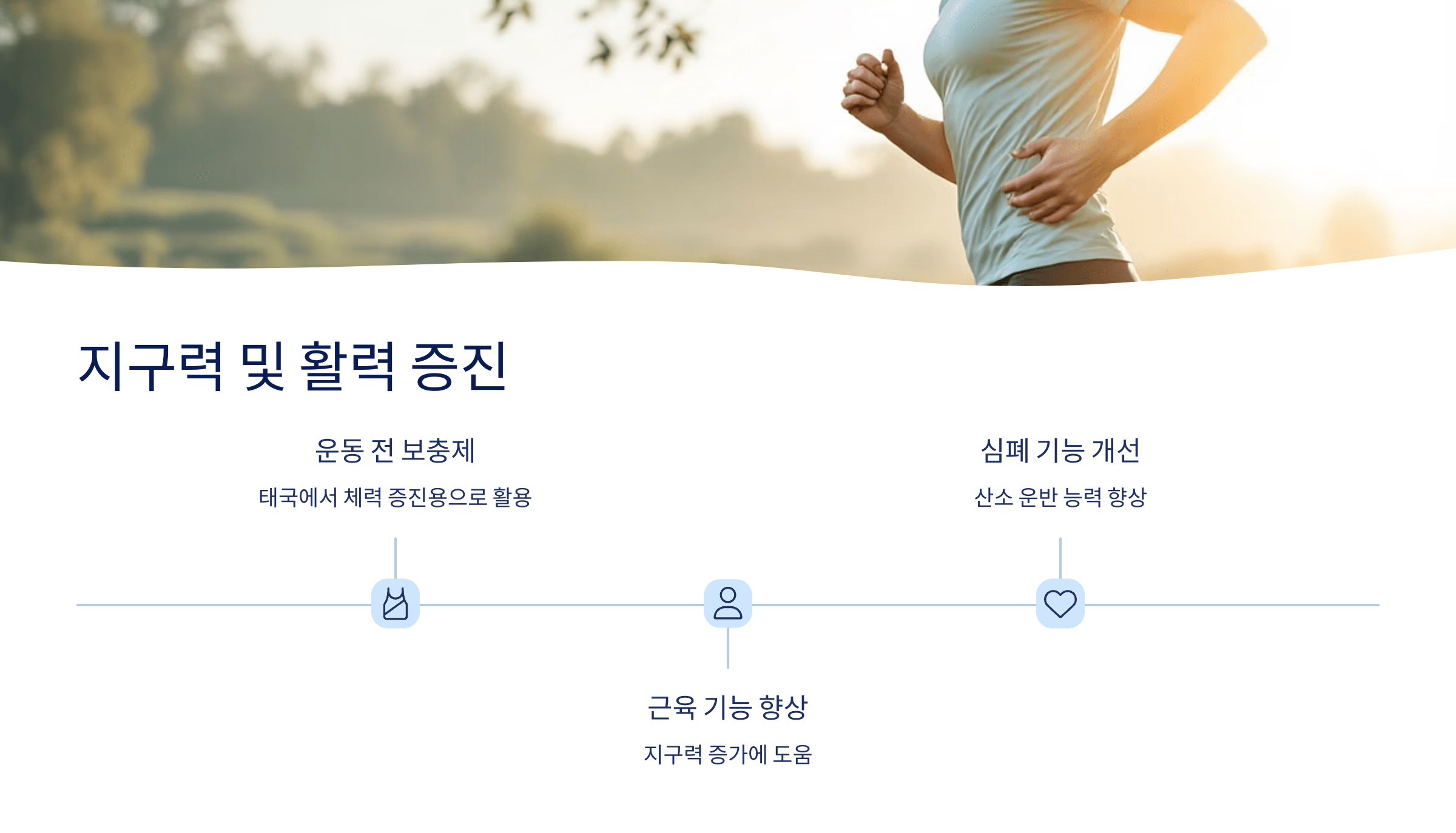 파비플로라 사진입니다.