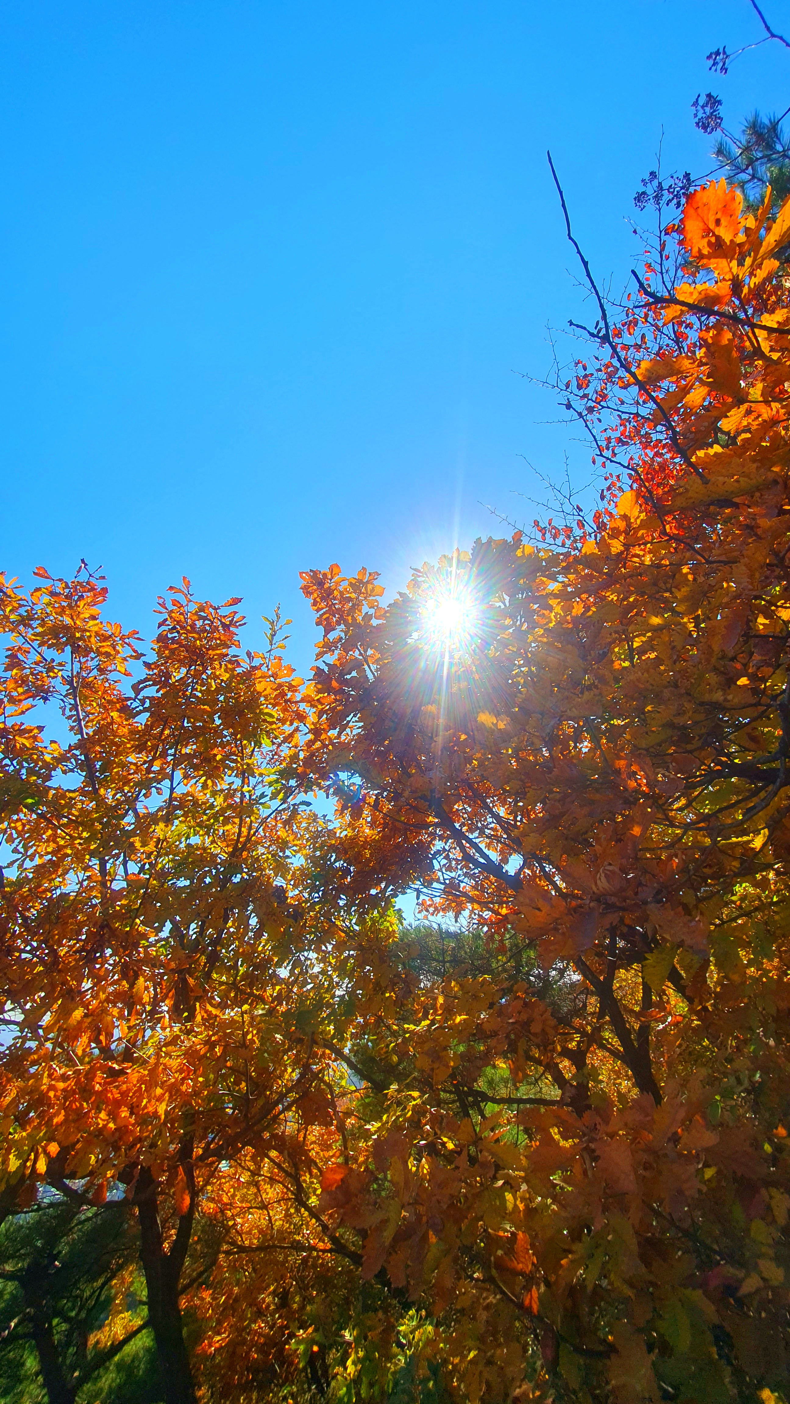 가을 단풍 산행
