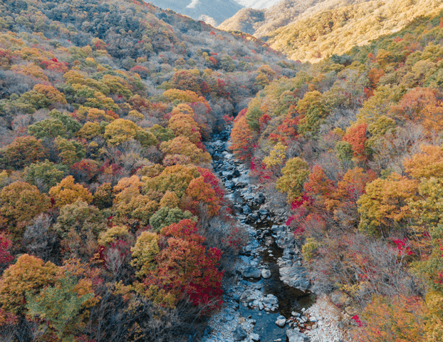 지리산 피아골 단풍 축제일정 확인하기