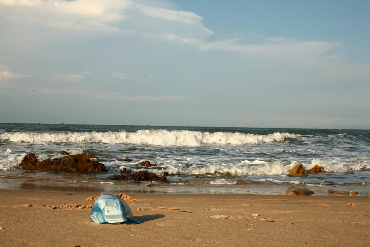 제로웨이스트 실천 전, 반드시 알아야 할 현실적인 문제들