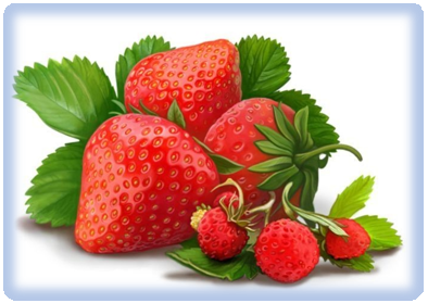 맛있는 딸기 이야기