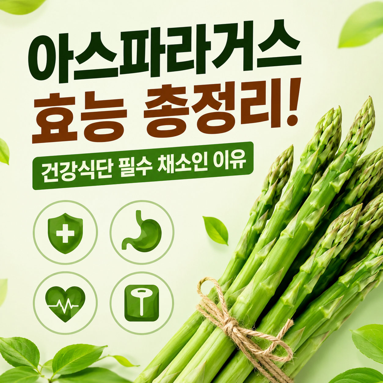 아스파라거스 효능