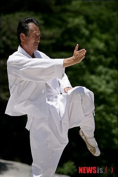 택견본데, 택견품, 전통무예수련체계, 택견기본과기술