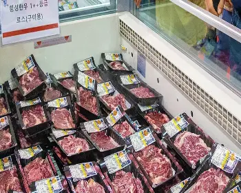 횡성 한우축제_16