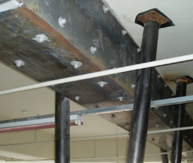 구조보강공사 수선, 대수선