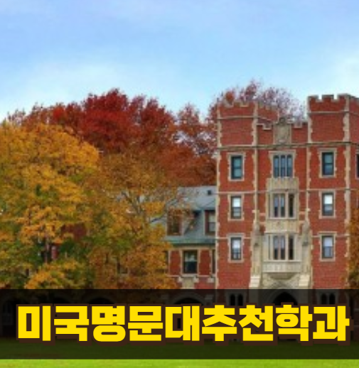 미국 명문대 추천학과