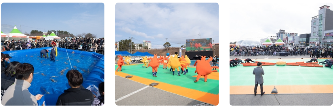 전국 축제 일정 10