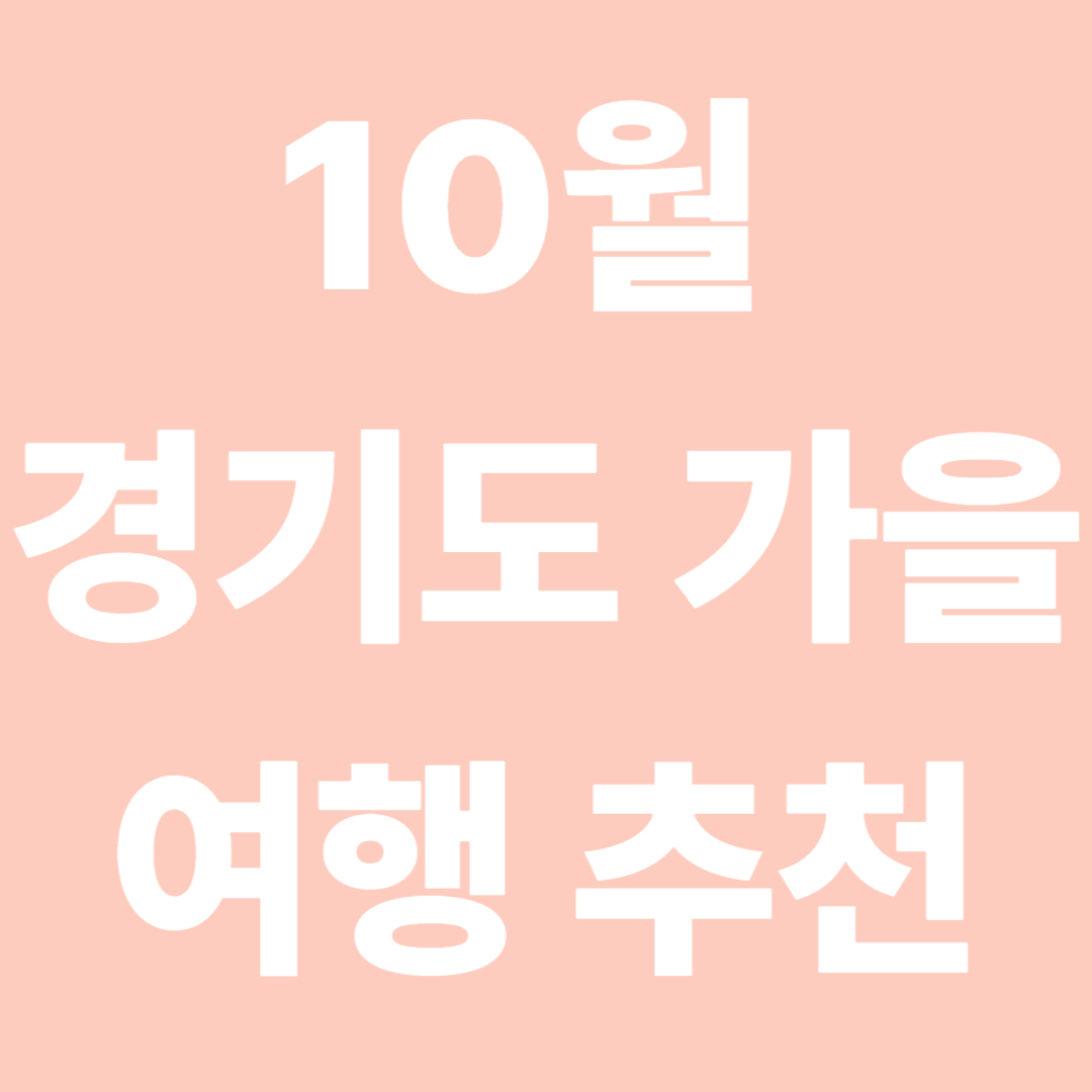 가을 여행지 추천 경기도 편 (곤지암 화담숲 모노레일)