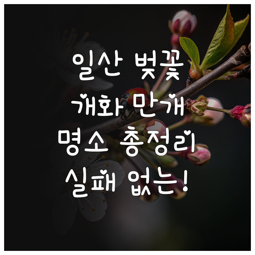 일산 벚꽃 나들이 정보 개화일 만개일..