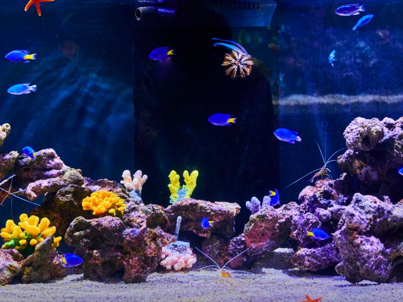 아쿠아플라넷 광교