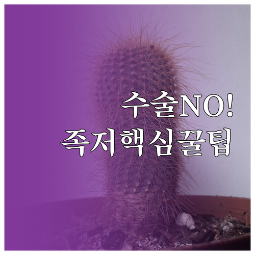 부천 오정구 족저근막염 비수술 치료 ..