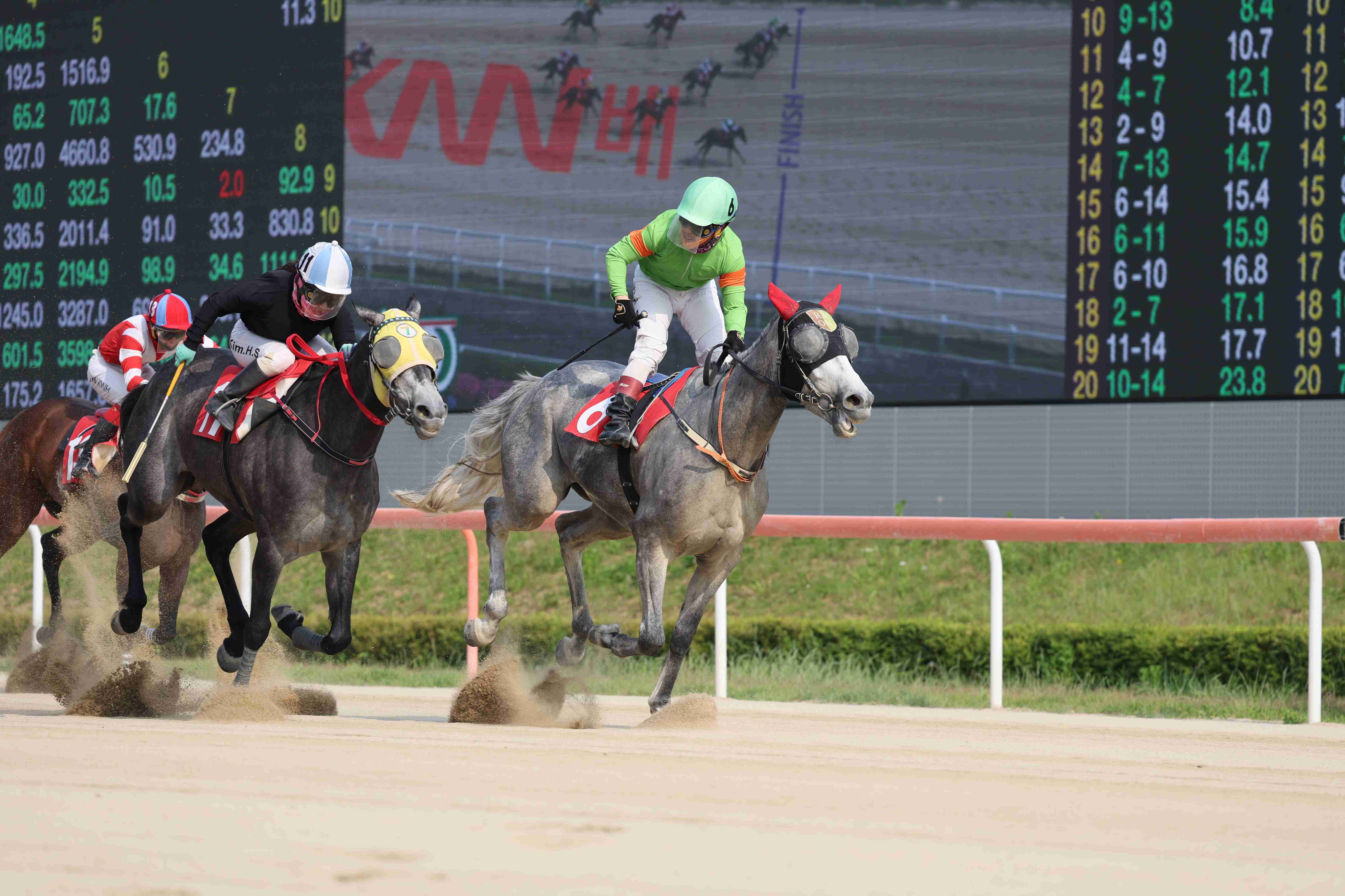 KNN배 우승마 라온포레스트의 결승선 통과 모습