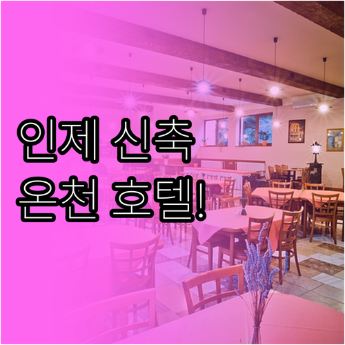 강원도 인제 숙소 추천 5곳 신축 테..
