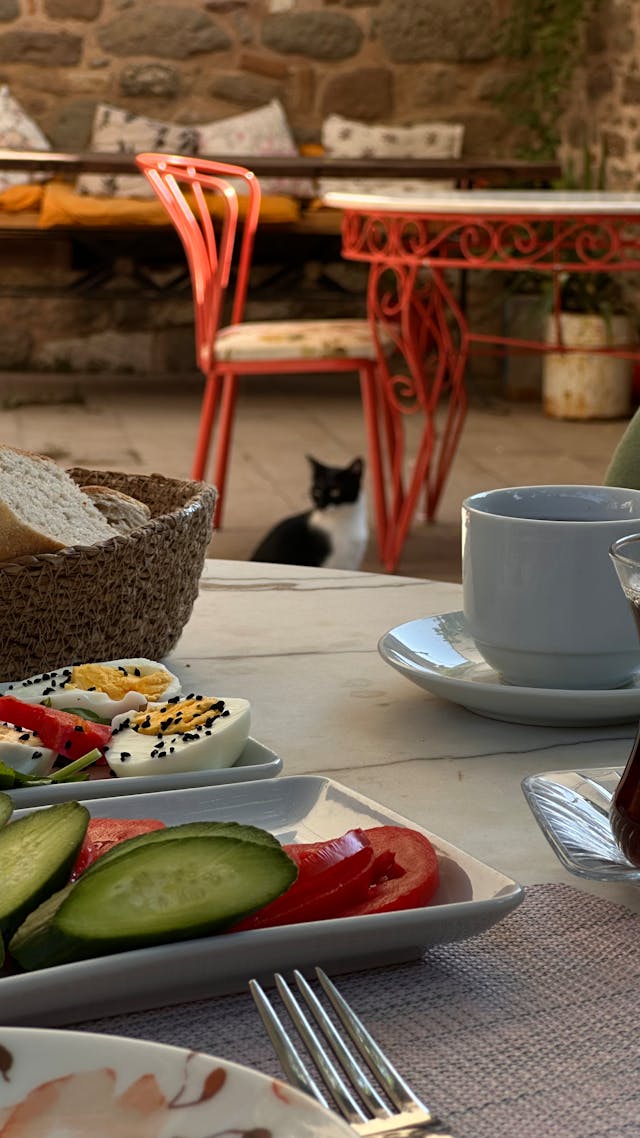 아침에 마시면 좋은 차 5가지를 소개합니다. 커피 대신 부담 없이 마실 수 있는 건강한 한 잔으로 활력을 채워보세요. 녹차, 루이보스차, 레몬차 등 몸을 깨우는 차 루틴을 만나보세요.