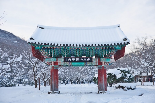 전라도 겨울 트레킹 명소 BEST 5, 남도에서 만나는 고요한 숲길 여행