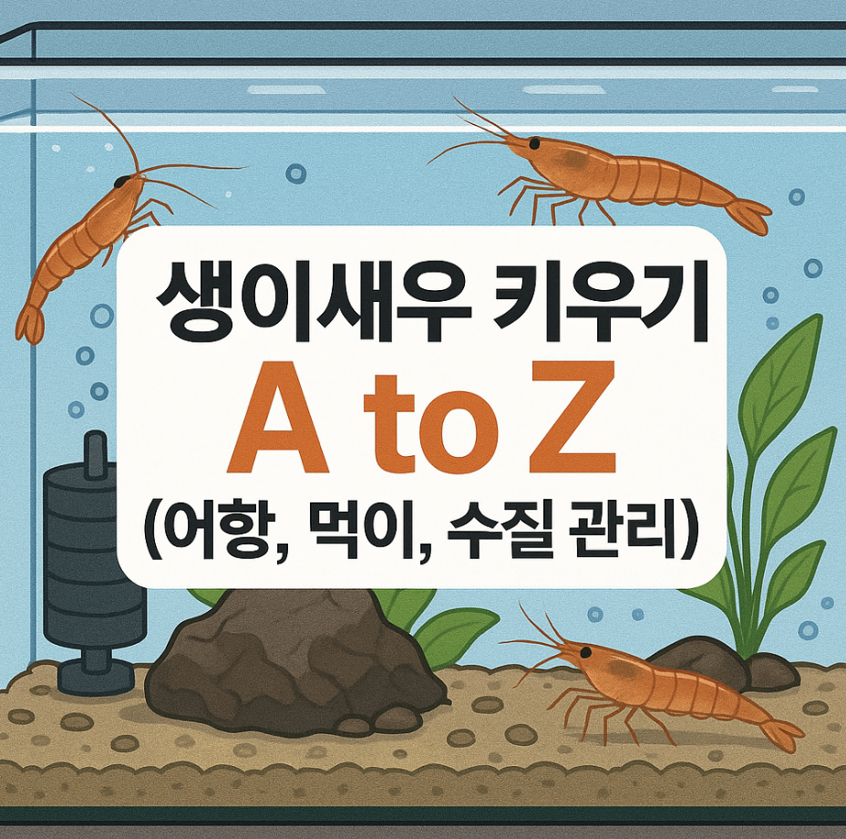 생이새우 키우기 A to Z (어항, 먹이, 수질 관리)