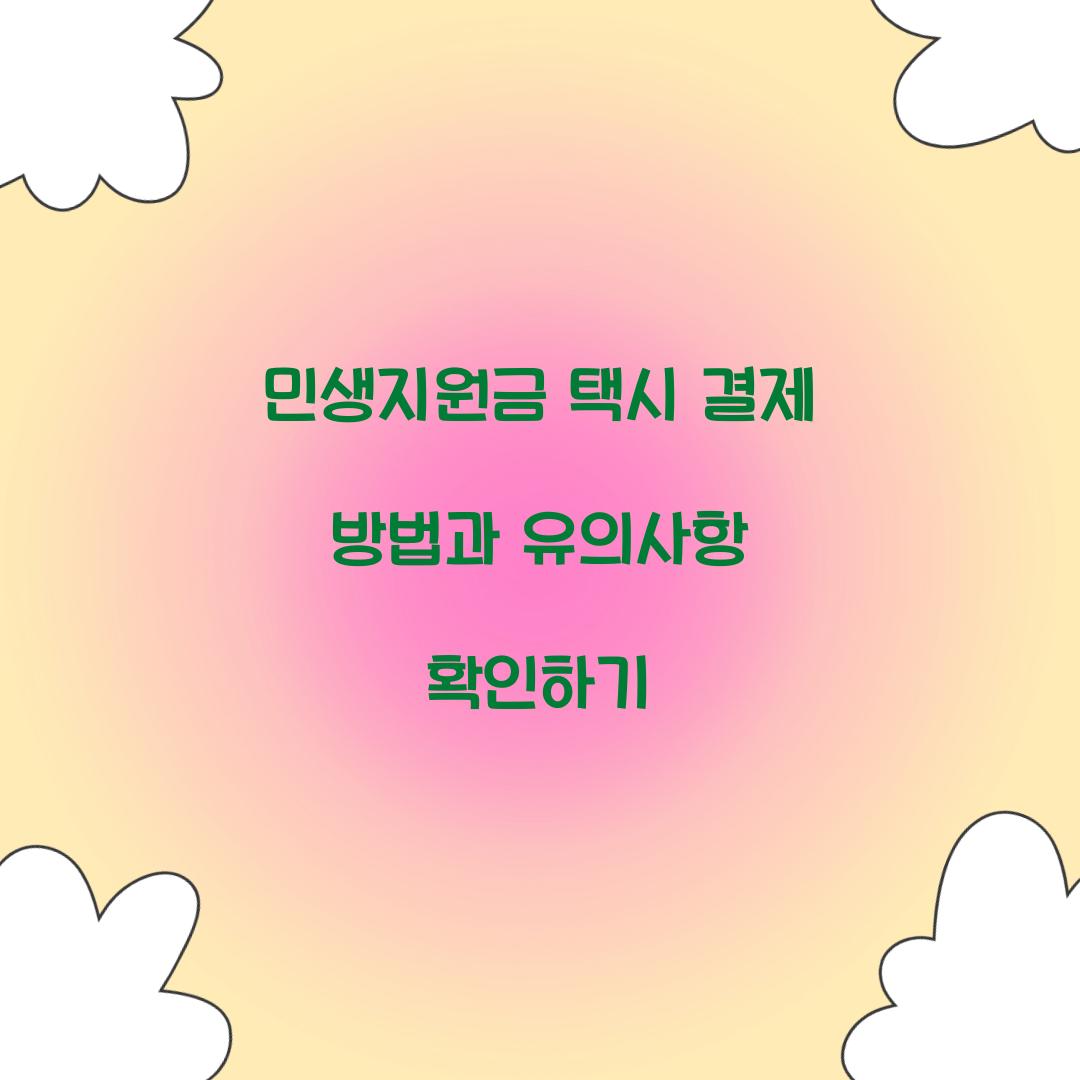 민생지원금 택시 결제