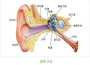 인후통