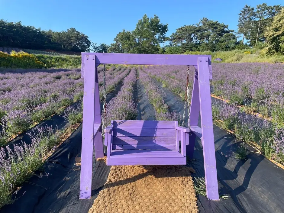 5월 전라도 축제 일정 가볼만한 곳