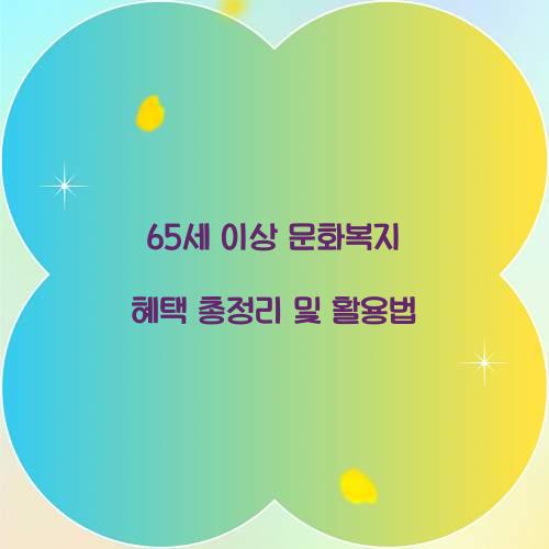 65세 이상 문화복지
