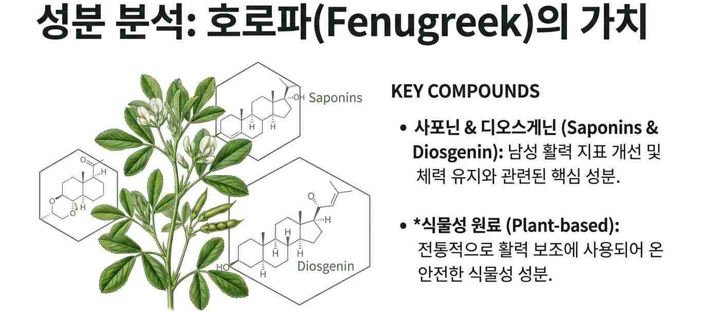 남성갱년기영양제-사진9