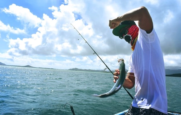 5월 제철회 추천 및 영양성분 효능 정리