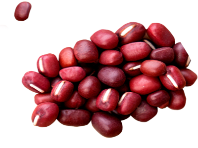 팥 사진