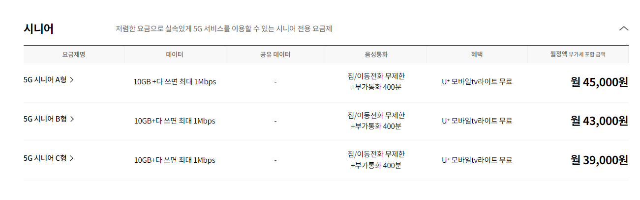 Alt 속성 문제 해결 설명 이미지