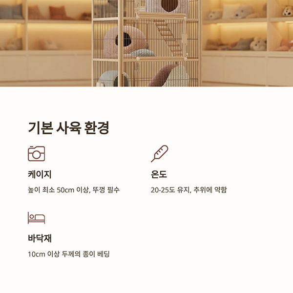 사육을 위한 기본 환경 구성