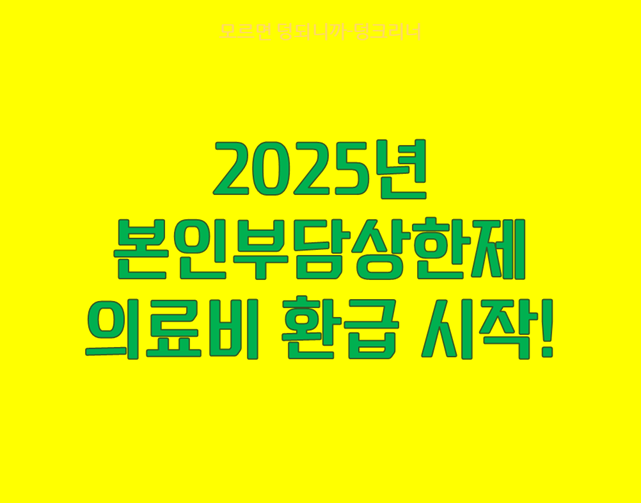 의료비 본인부담상한제