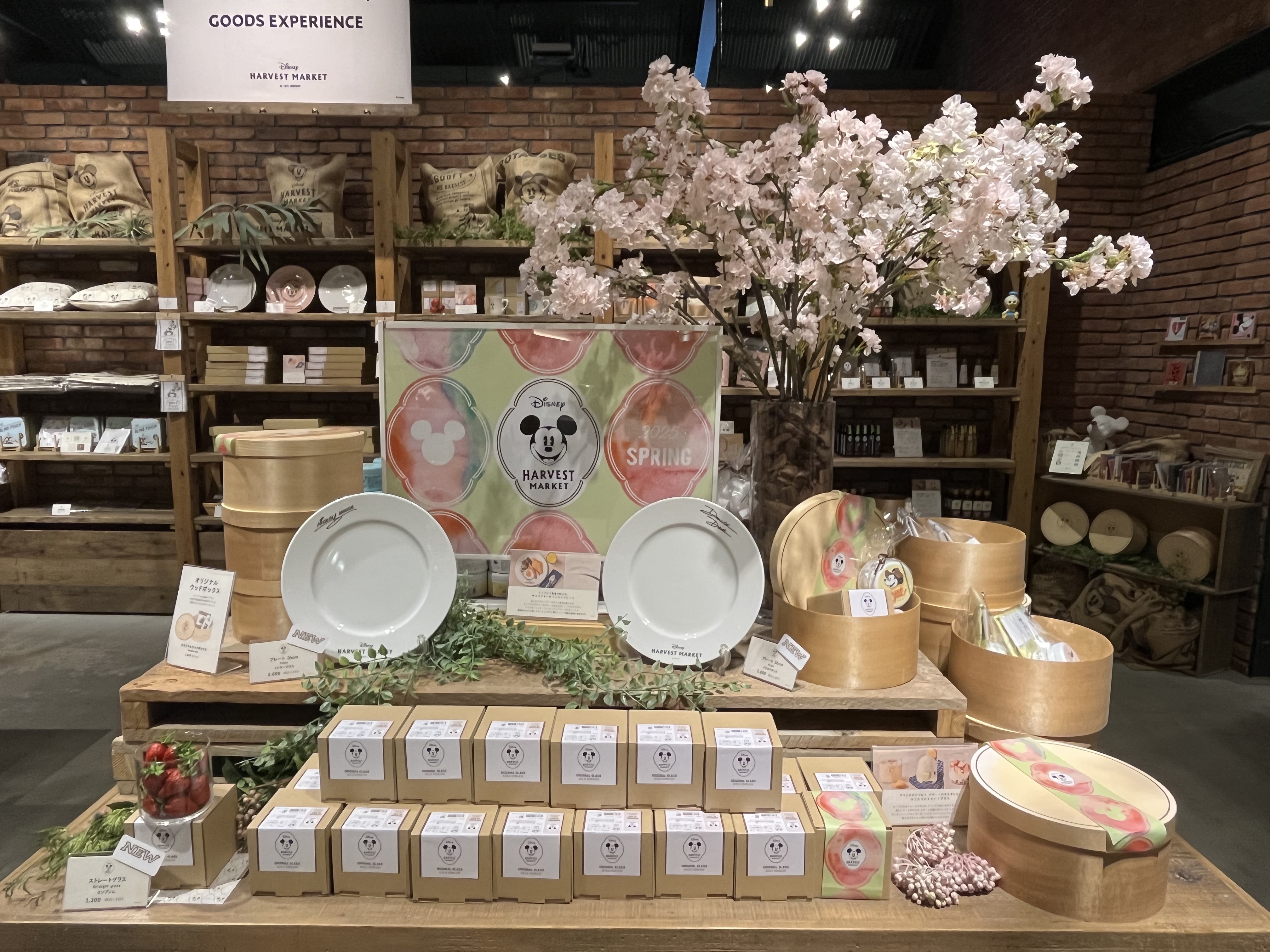 HARVEST MARKET