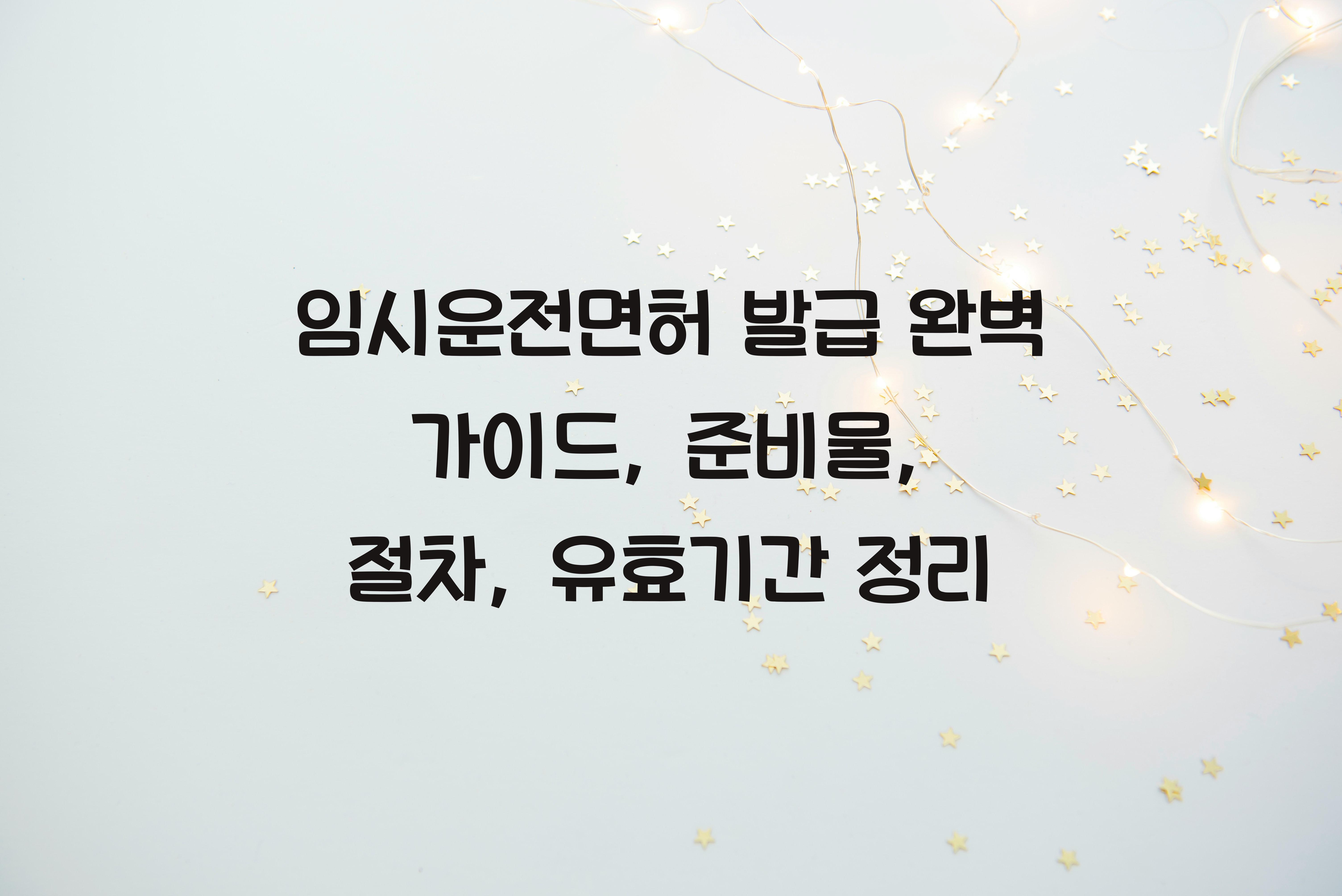 임시운전면허 발급