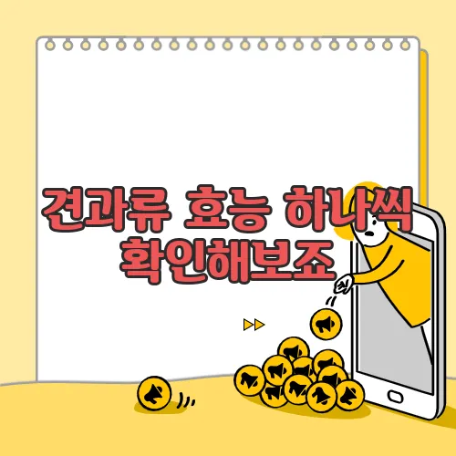 견과류 효능 하나씩 확인해보죠