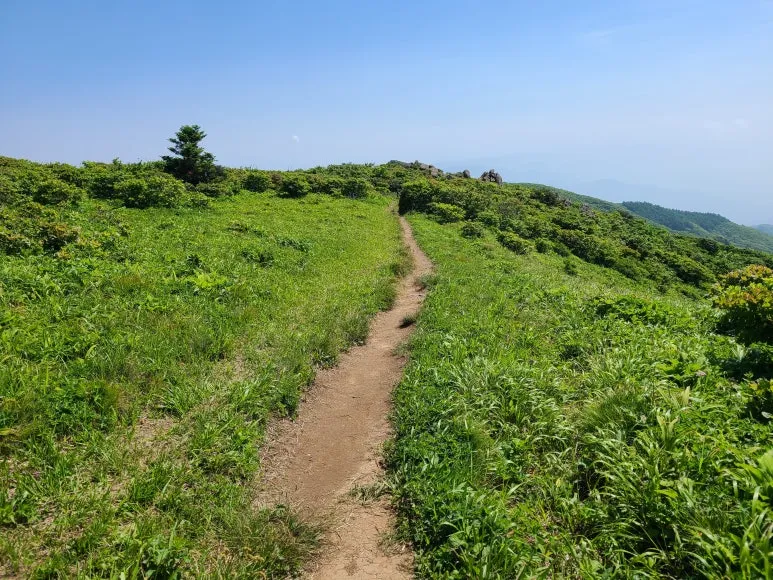 몸과 마음이 회복되는 자연치유 여행지