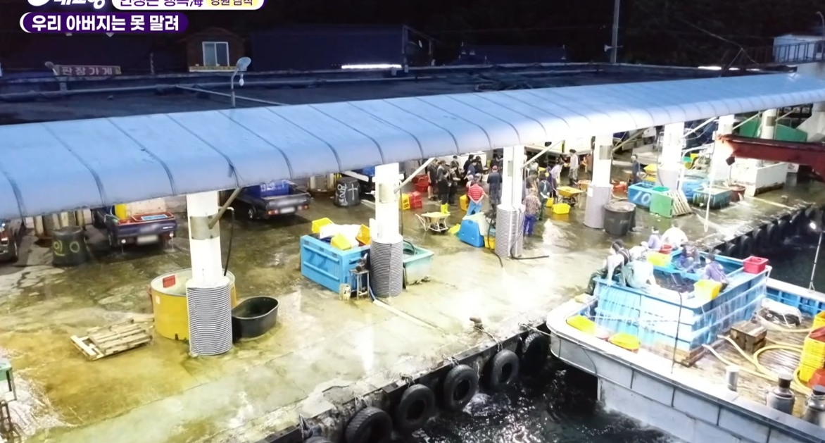 6시내고향 다시보기