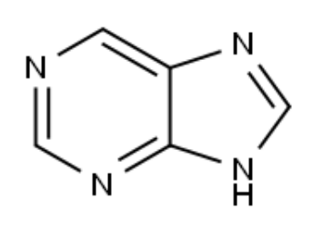 퓨린 화학 구조