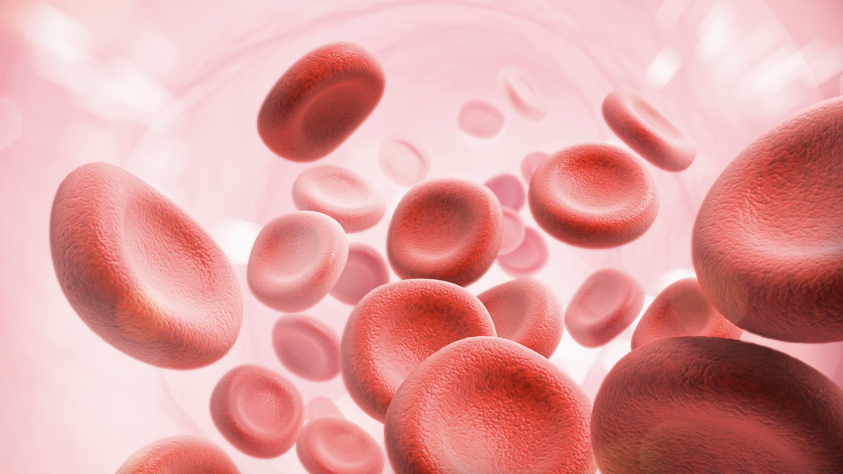 콜레스테롤 관리 팁