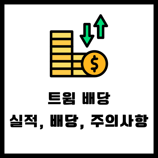 트윔 배당 배당금 배당일