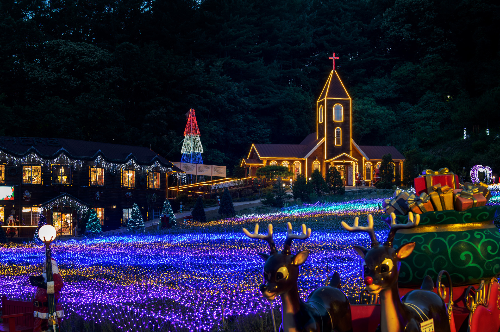포천허브아일랜드핑크뮬리축제