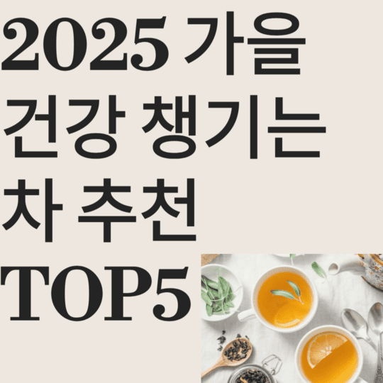 2025가을 건강을 챙기는 차 추천 TOP5