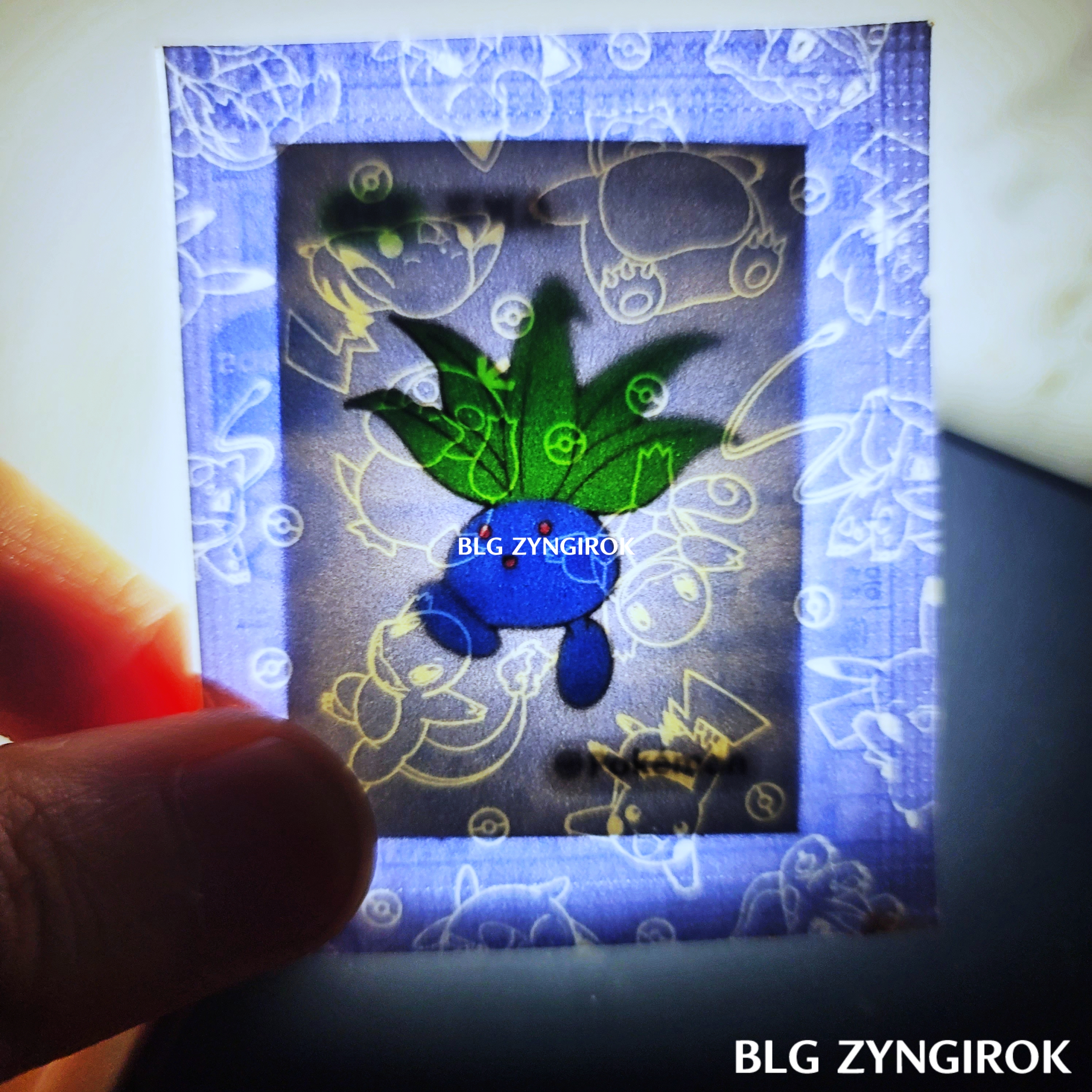 띠부띠부씰-뚜벅초를-들고있다.