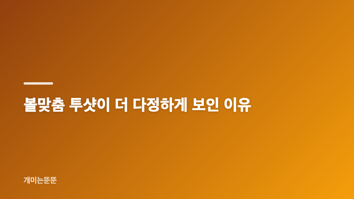 송혜교 문소리 흑백사진 속 자연스러운 표정