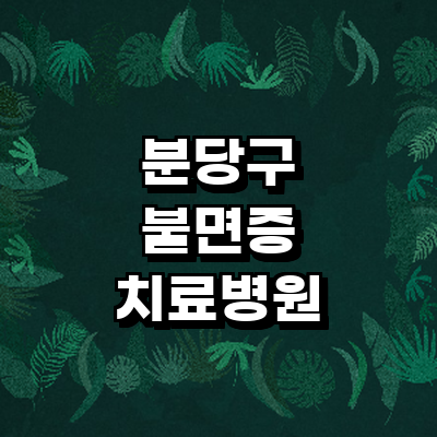 성남 분당구 불면증