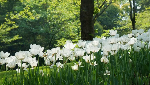 린스 트리트먼트 컨디셔너 차이점 사용법 필수 아이템_7
