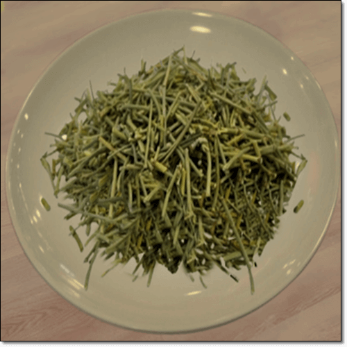 마황 효능 및 부작용