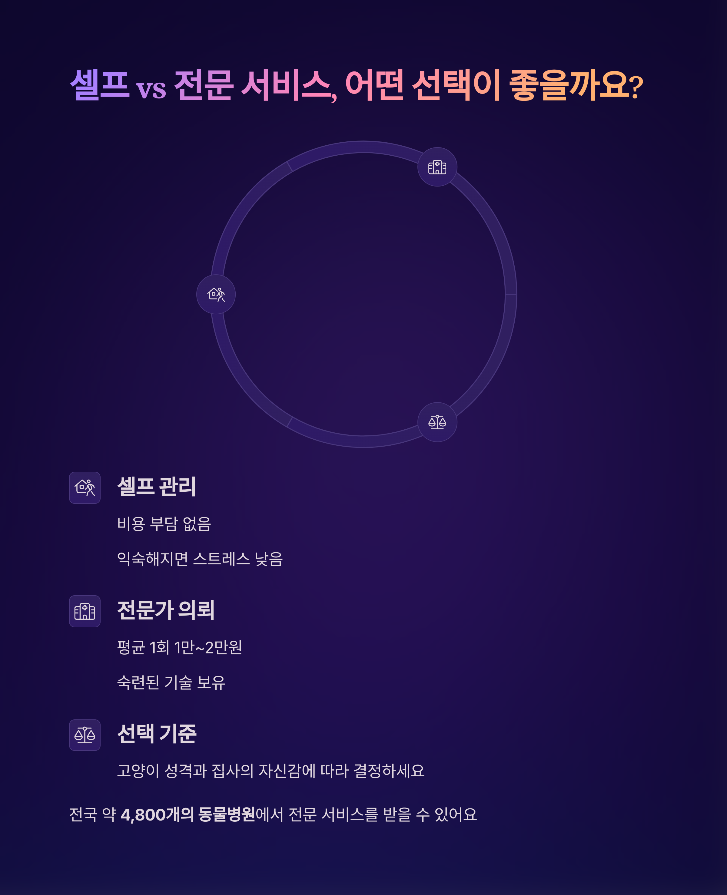 셀프 vs 전문 서비스, 어떤 선택이 좋을까요?