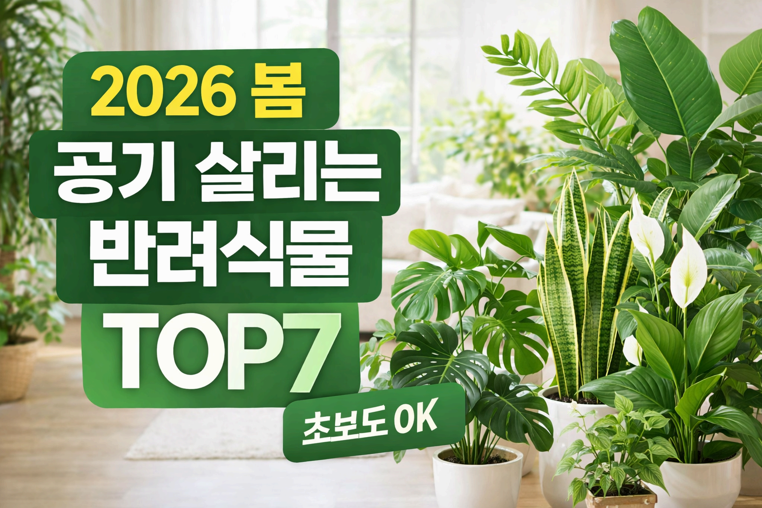 2026 봄, 공기까지 달라진다! 집에서 키우기 좋은 반려 식물 추천 TOP 7
