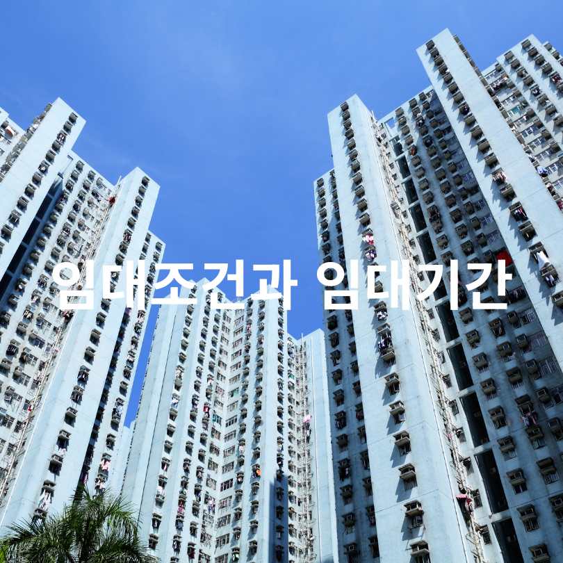 2025 SH 청년매입임대주택 완벽 가이드