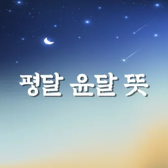 박토토 뜻 박충섭 시네마천국 뜻_4