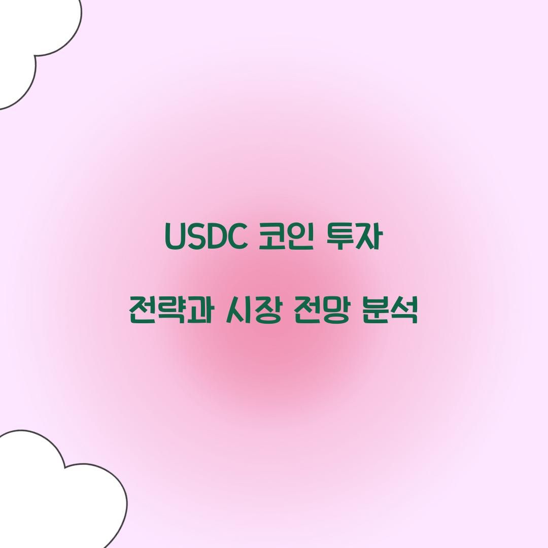 USDC 코인